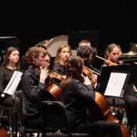 zoomed out shot of orchestra performing in theatre